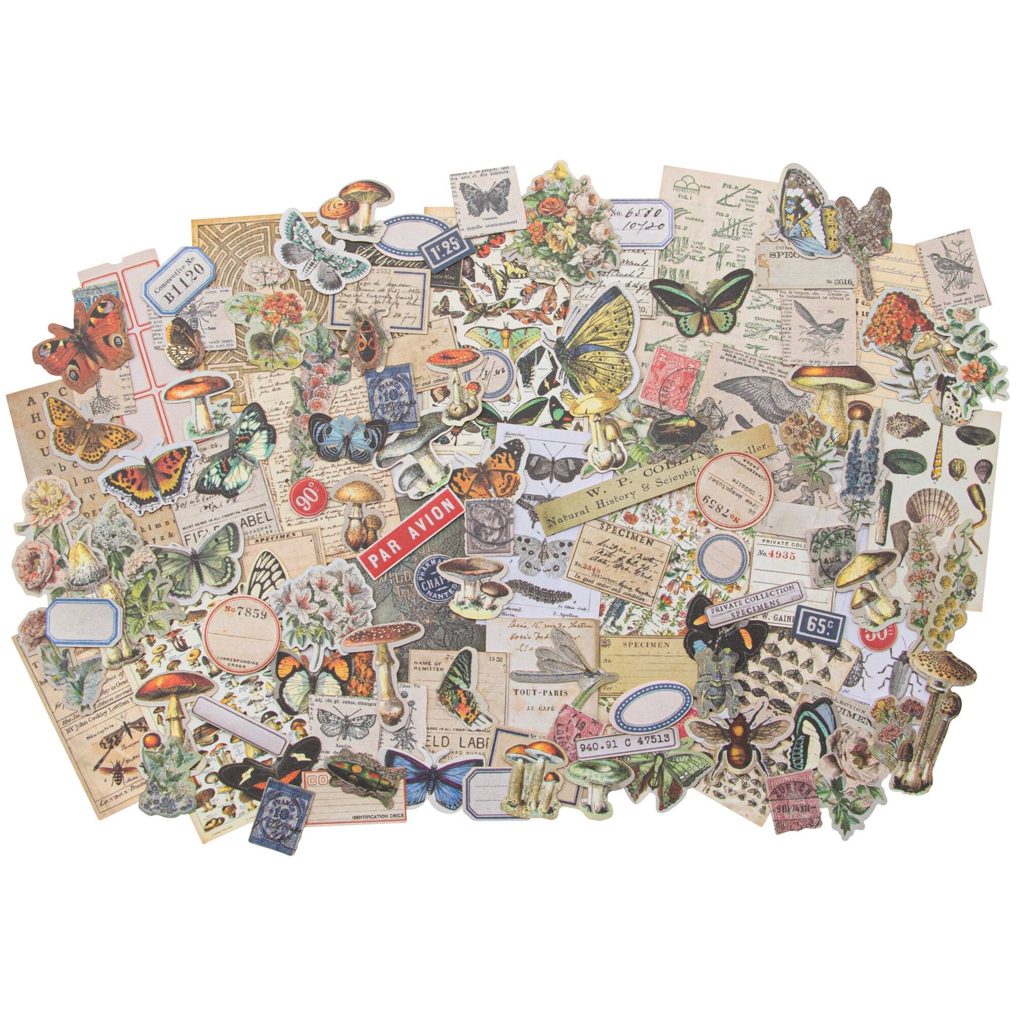 Idea-Ology Ephemera Pack -Field Notes